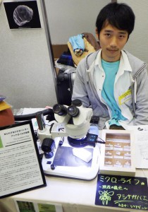 大阪市立自然史博物館 外来研究員　熊澤 辰徳さんによるアシナガバエの展示・解説ブース