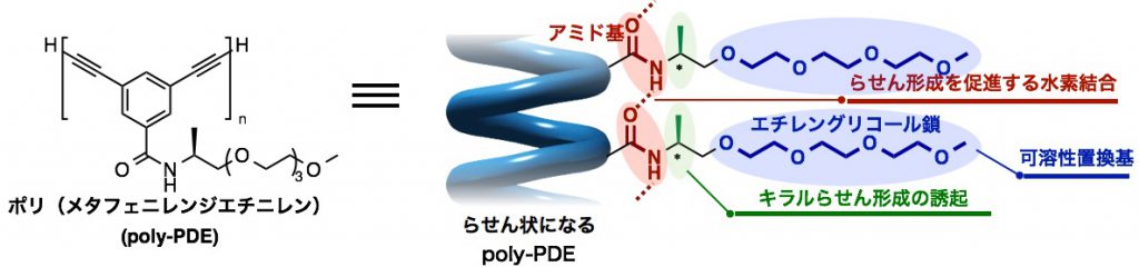 らせん高分子poly-PDEの構造式と分子設計（Hideto Ito & Kenichiro Itami et al. J. Am. Chem. Soc. 2016, 138, 11001より改変）