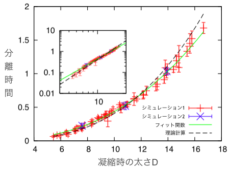 棒状高分子の太さと分離時間の関係。分子動力学シミュレーション（赤と青）では、棒状高分子の太さDが大きいほど分離時間が長くなることが示された。つまり、分離時間は太さに大きく依存する。理論計算（破線）では、分離時間は太さの3乗に比例して大きくなることが予想された
